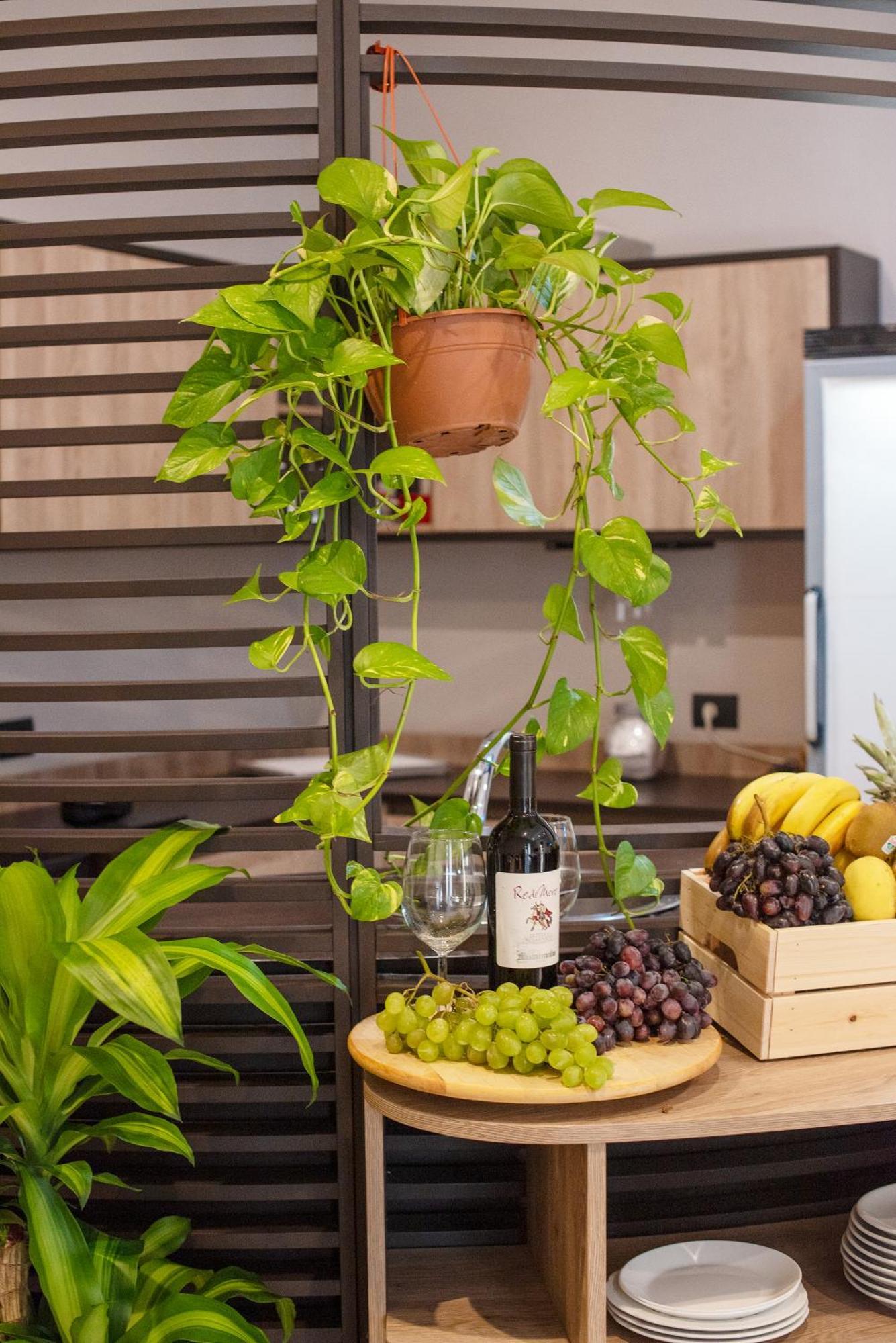 Neapolis Lifestyle Bed & Breakfast Ngoại thất bức ảnh